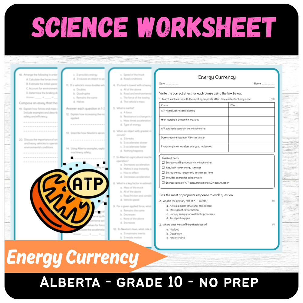 Grade 10 Science | Energy Currency Worksheet (PDF) – Alberta Standards