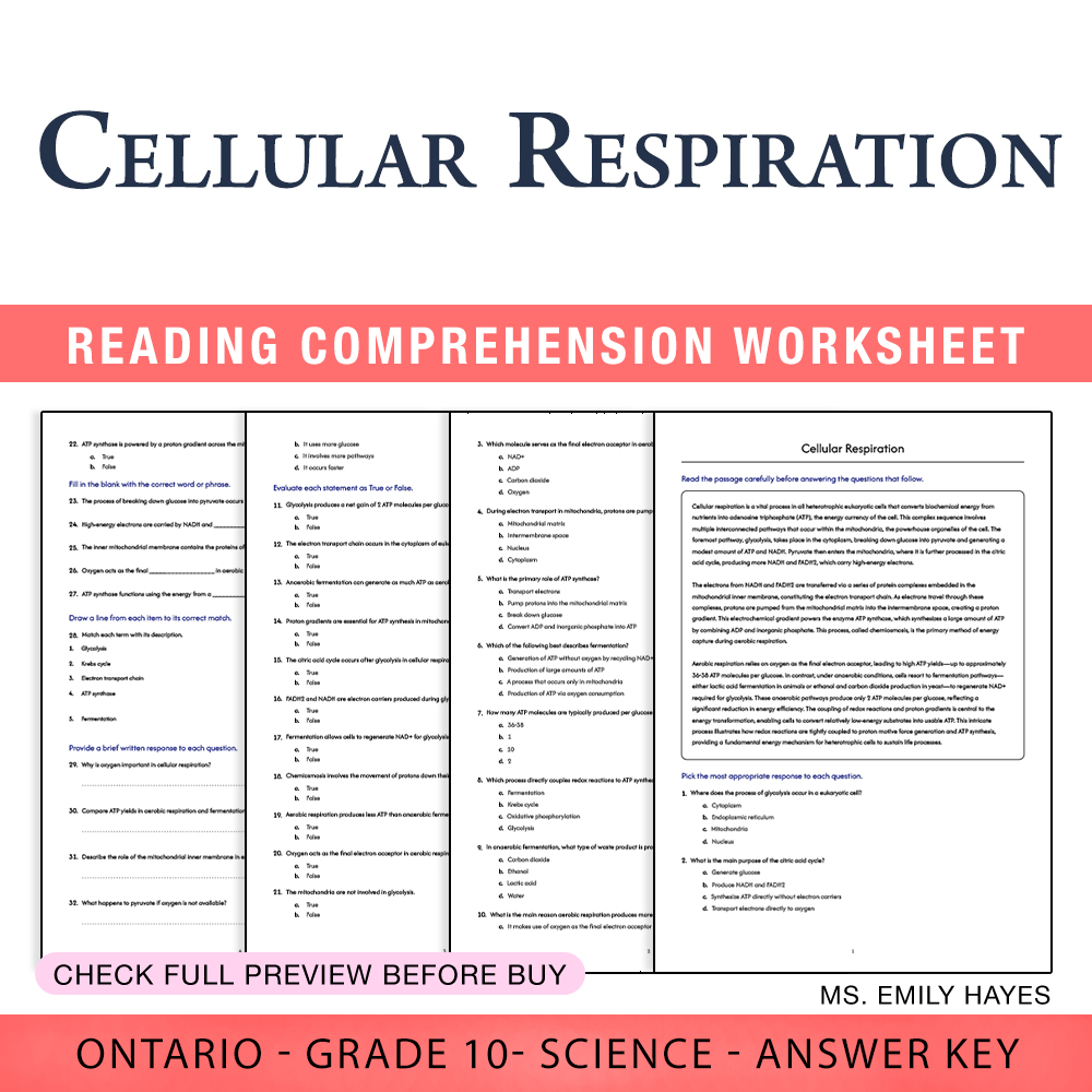 Grade 10 Science worksheet worksheet — Grade 10 Science | Cellular Respiration Worksheet (PDF + Answer Key) — page 1