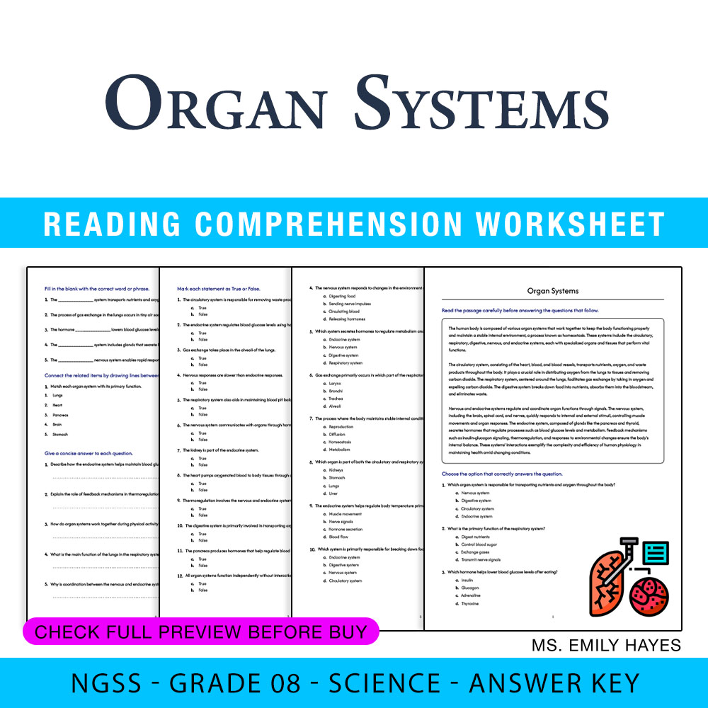Grade 8 Science worksheet worksheet — 8th Grade Science | Organ Systems Worksheet (PDF + Answer Key) — page 1