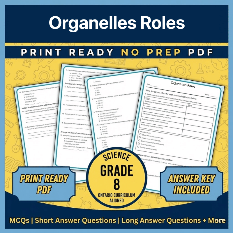 Grade 8 Science | Organelles Roles Worksheet (Ontario) (PDF)