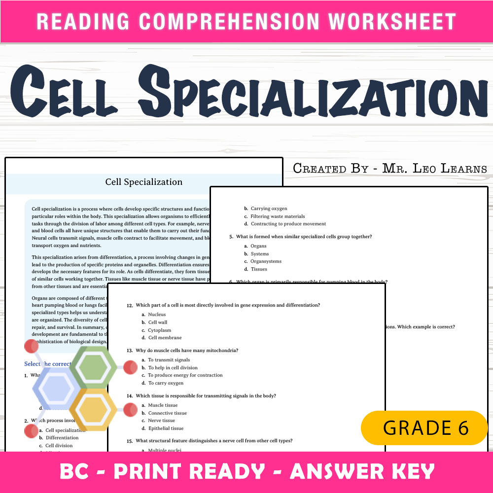 Grade 6 Science worksheet mcq paper worksheet — Grade 6 Science – Cell Specialization MCQ Worksheet for Mastery — page 1