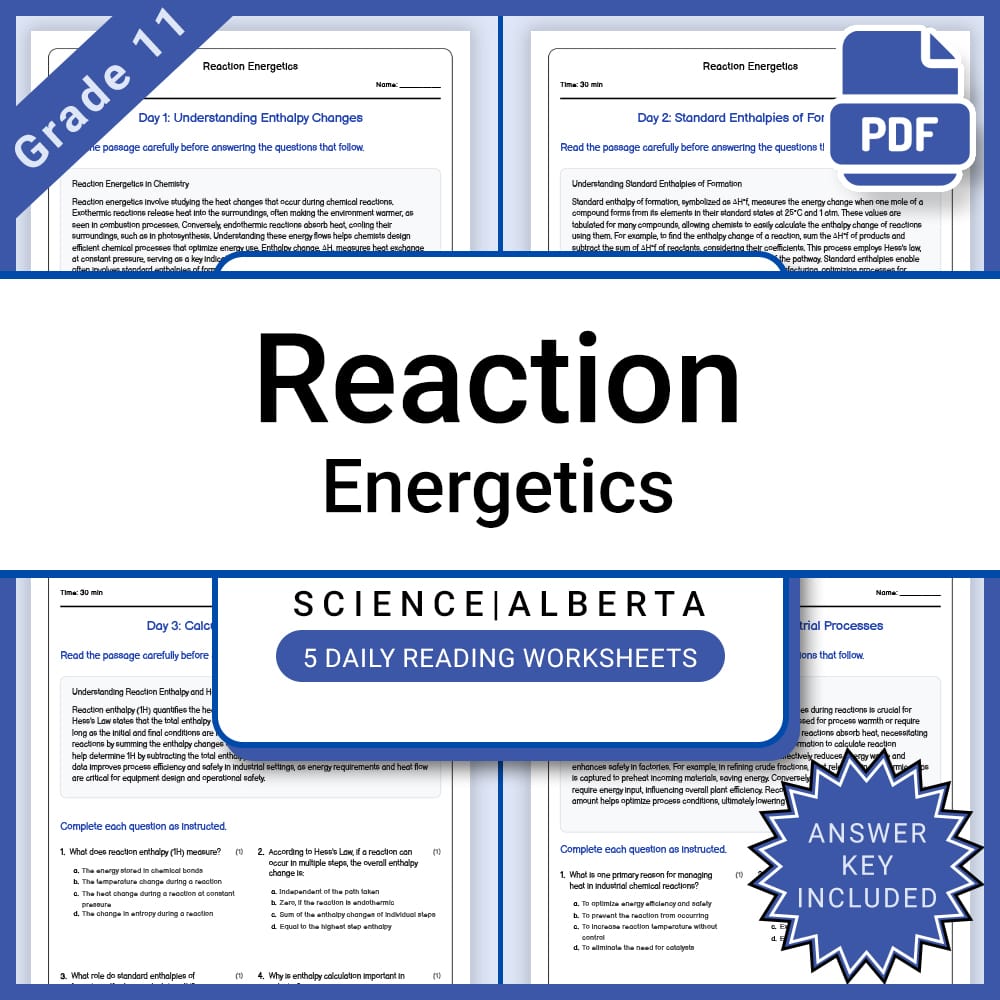 Grade 11 Science Lesson Bundle | Core Concepts & Theories in Chemistry & Physics — included worksheet 13