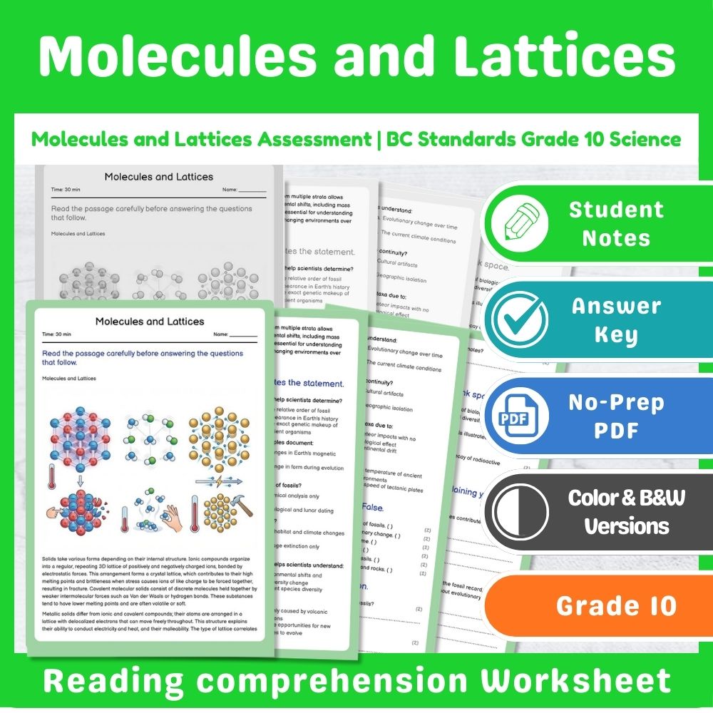Grade 10 Science Assessment Bundle – Chemical Reactions & Atomic Structure — included worksheet 13