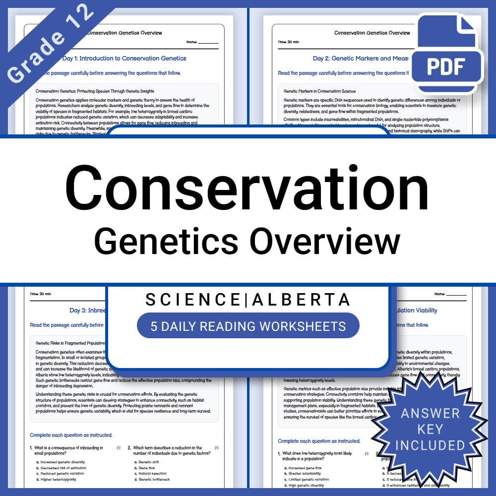 Grade 12 Science Full Year Bundle | Physics, Waves, Circuits — included worksheet 55