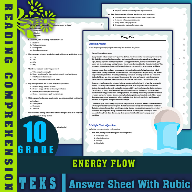 Grade 10 Science reading worksheets worksheet — Grade 10 Science | Energy Flow Reading Worksheet (PDF + Answer Key) — page 1