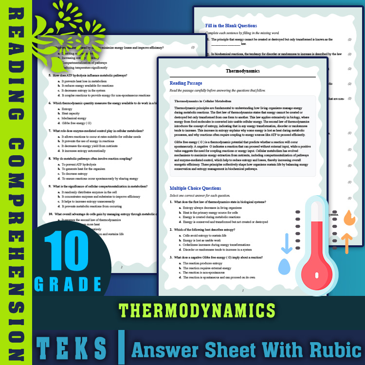 Grade 10 Science reading worksheets worksheet — Grade 10 Science | Thermodynamics Reading Worksheet & Answer Key (PDF) — p…