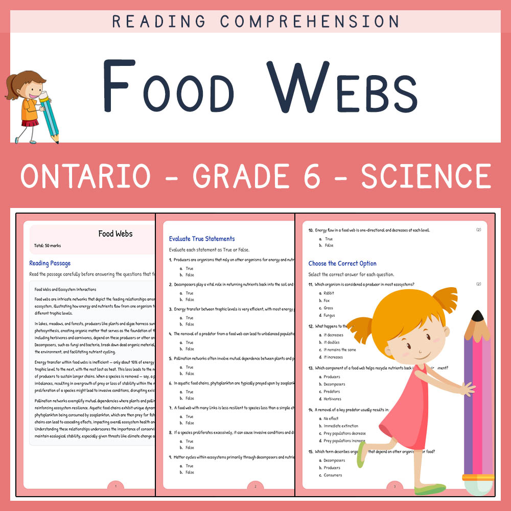Grade 6 Science worksheet worksheet — Grade 6 Science | Food Webs Worksheet with Answer Key (PDF) – Ecosystem Relationship…