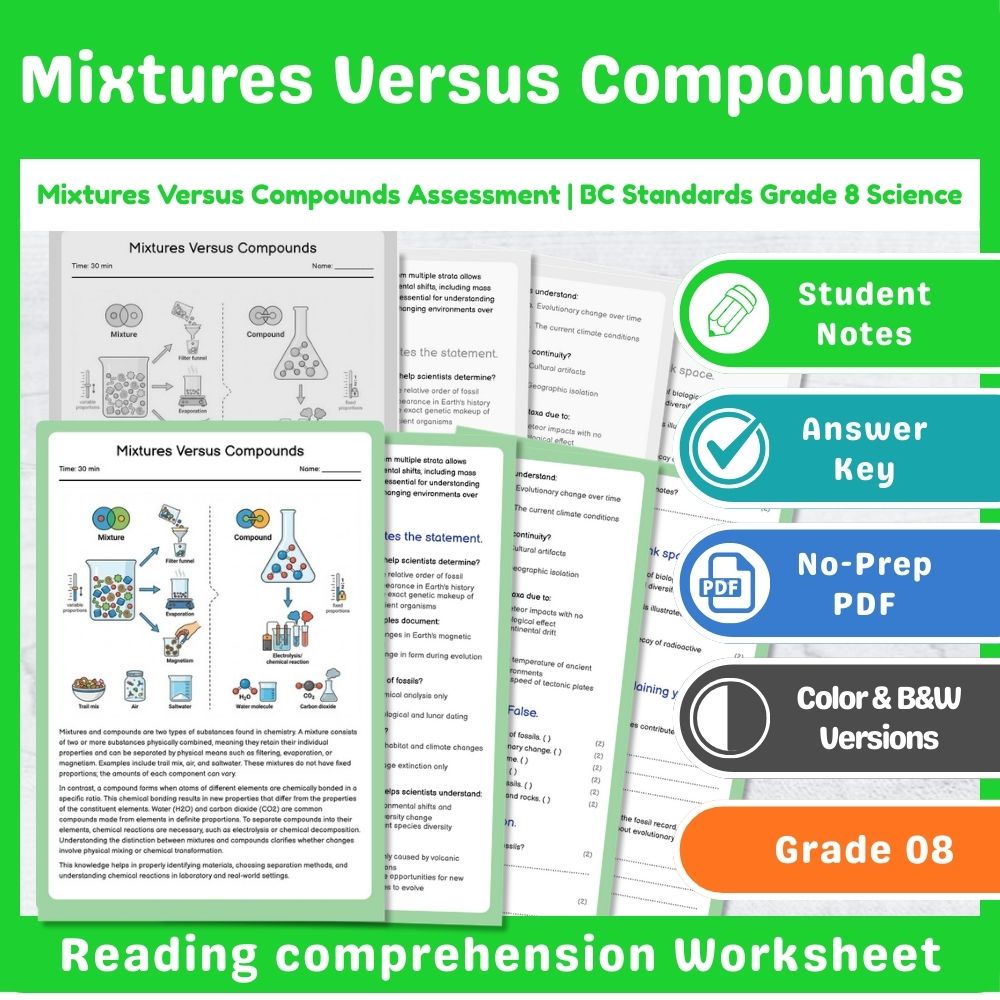 Grade 8 Science Lesson – Reaction Types & Evidence Assessment Bundle — included worksheet 11