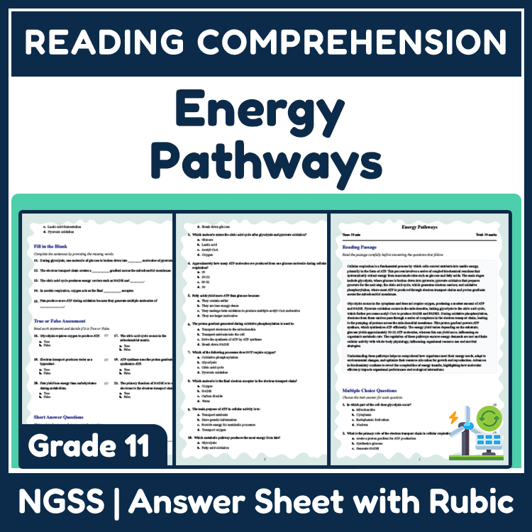 Grade 11 Science reading worksheets worksheet — 11th Grade Science | Energy Pathways Reading Worksheet & Answer Key (PDF)…