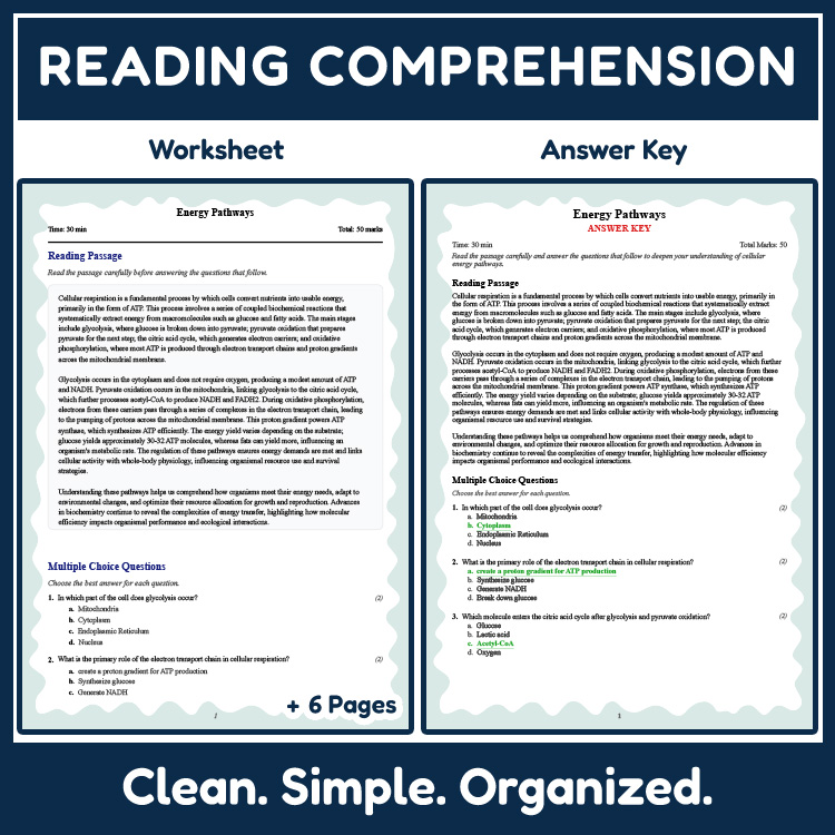 Grade 11 Science reading worksheets worksheet — 11th Grade Science | Energy Pathways Reading Worksheet & Answer Key (PDF)…