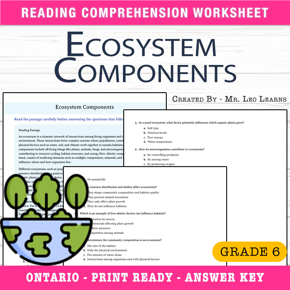 Grade 6 Science – Ecosystem Components Worksheet for Mastery