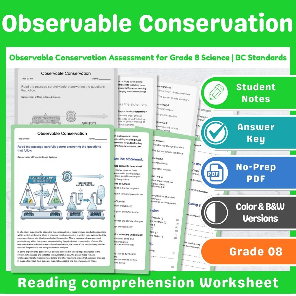 Grade 8 Science Lesson – Reaction Types & Evidence Assessment Bundle — included worksheet 12