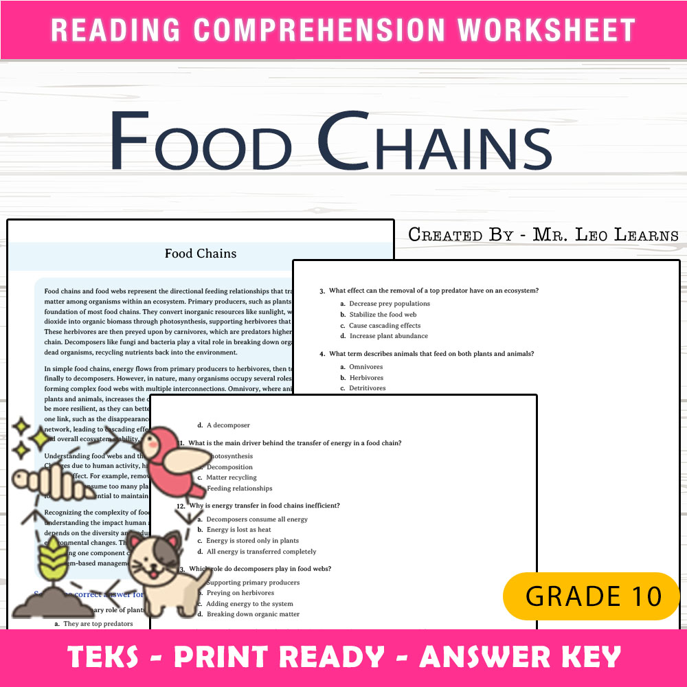 Grade 10 Science worksheet worksheet — Grade 10 Science – Food Chains Worksheet for Mastering Energy Transfer — page 1