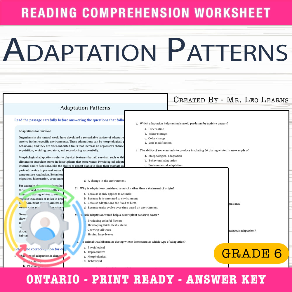 Grade 6 Science — Adaptation Patterns Worksheet for Mastery 
