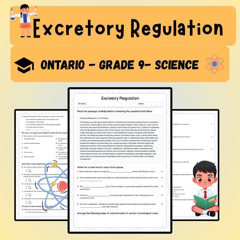 Grade 9 Science worksheet worksheet — Grade 9 Science | Excretory Regulation Worksheet (Answer Key) - Ontario Standards —…