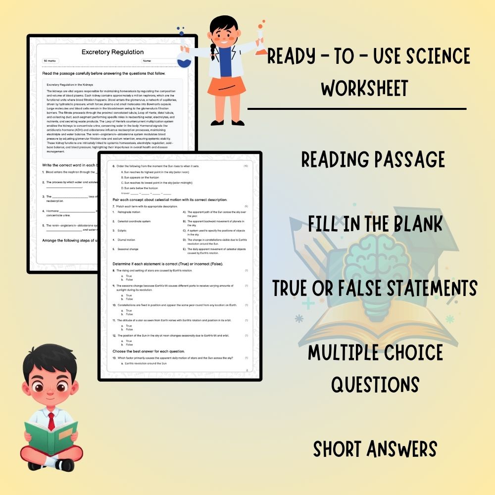 Grade 9 Science worksheet worksheet — Grade 9 Science | Excretory Regulation Worksheet (Answer Key) - Ontario Standards —…