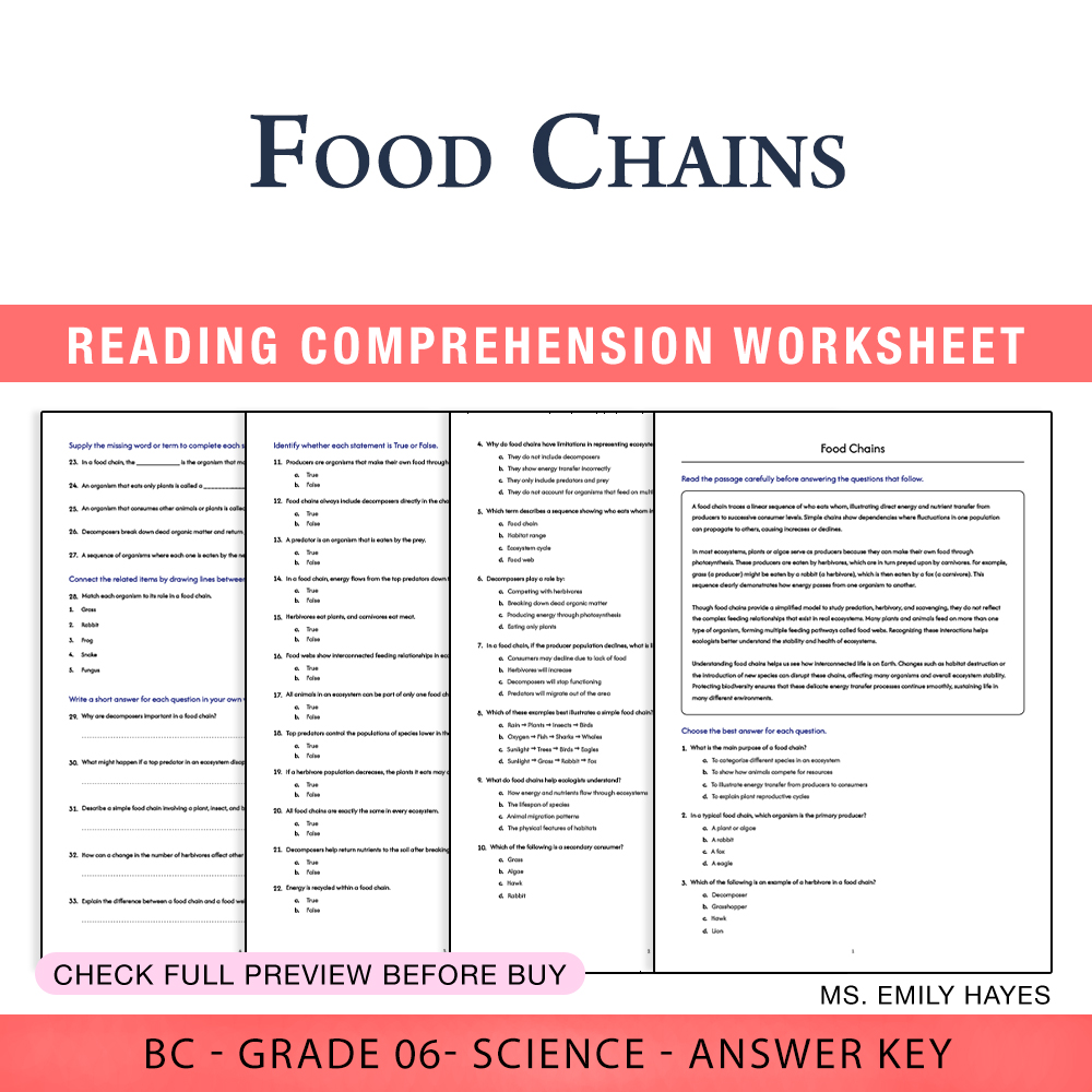 Grade 6 Science worksheet worksheet — 6th Grade Science | Food Chains Worksheet (PDF+ Answer Key) — page 1