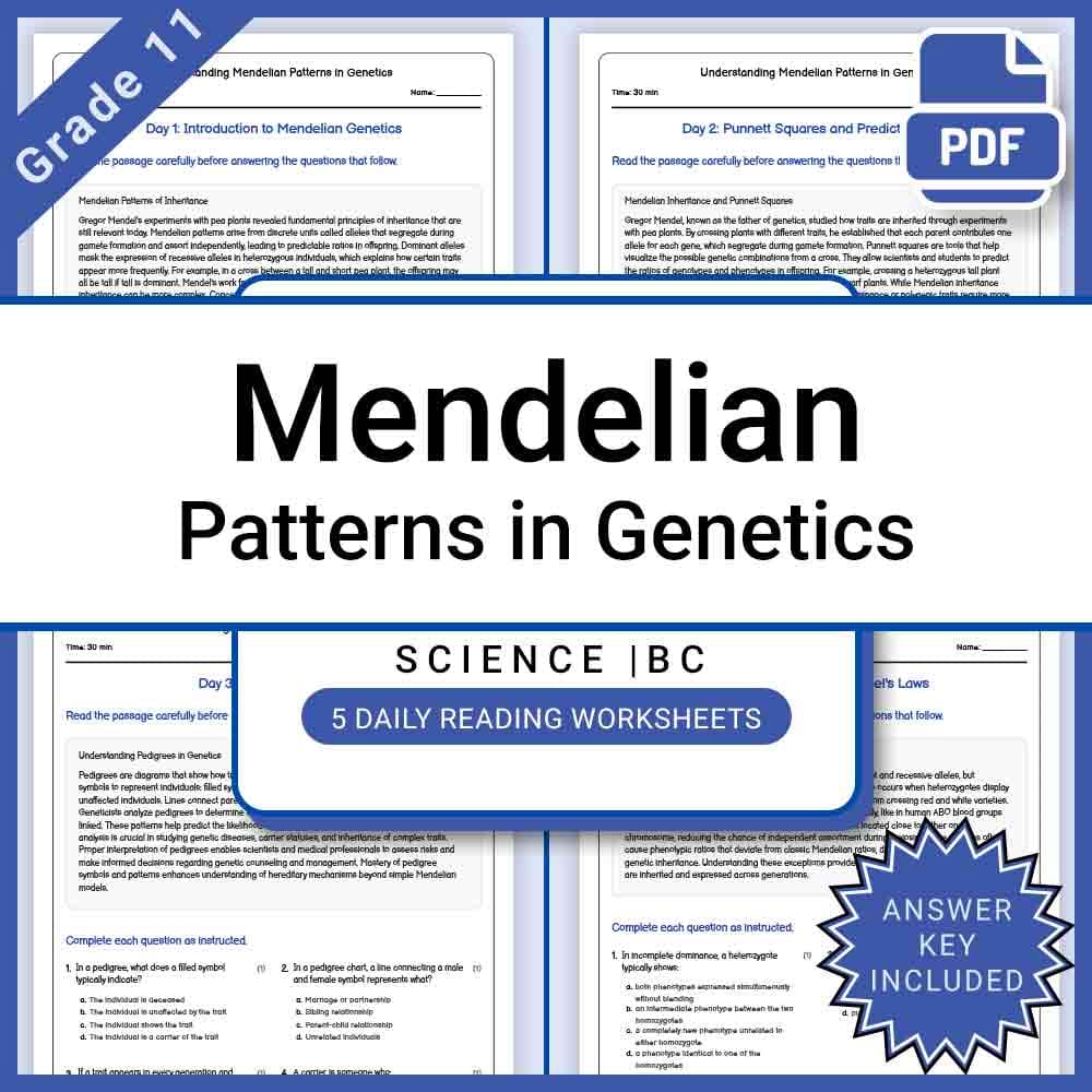 Grade 11 Science Lesson Bundle BC Framework | STEM & Core Concepts — included worksheet 13