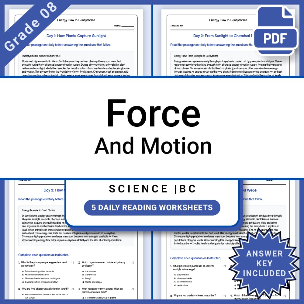Grade 8 Science Lesson Group | Forces, Motion, Energy & More – Bundle — included worksheet 13