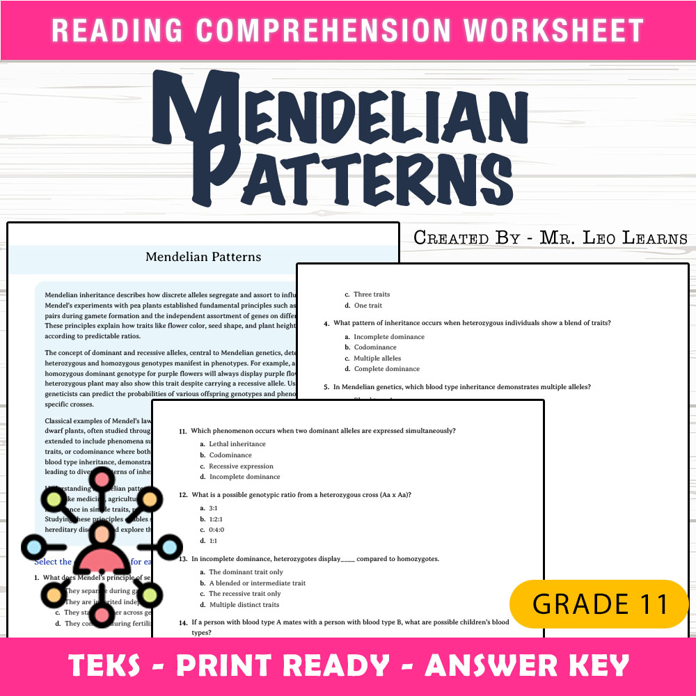 Grade 11 Science worksheet worksheet — Grade 11 Science | Mendelian Patterns Worksheet for Mastering Genetics — page 1