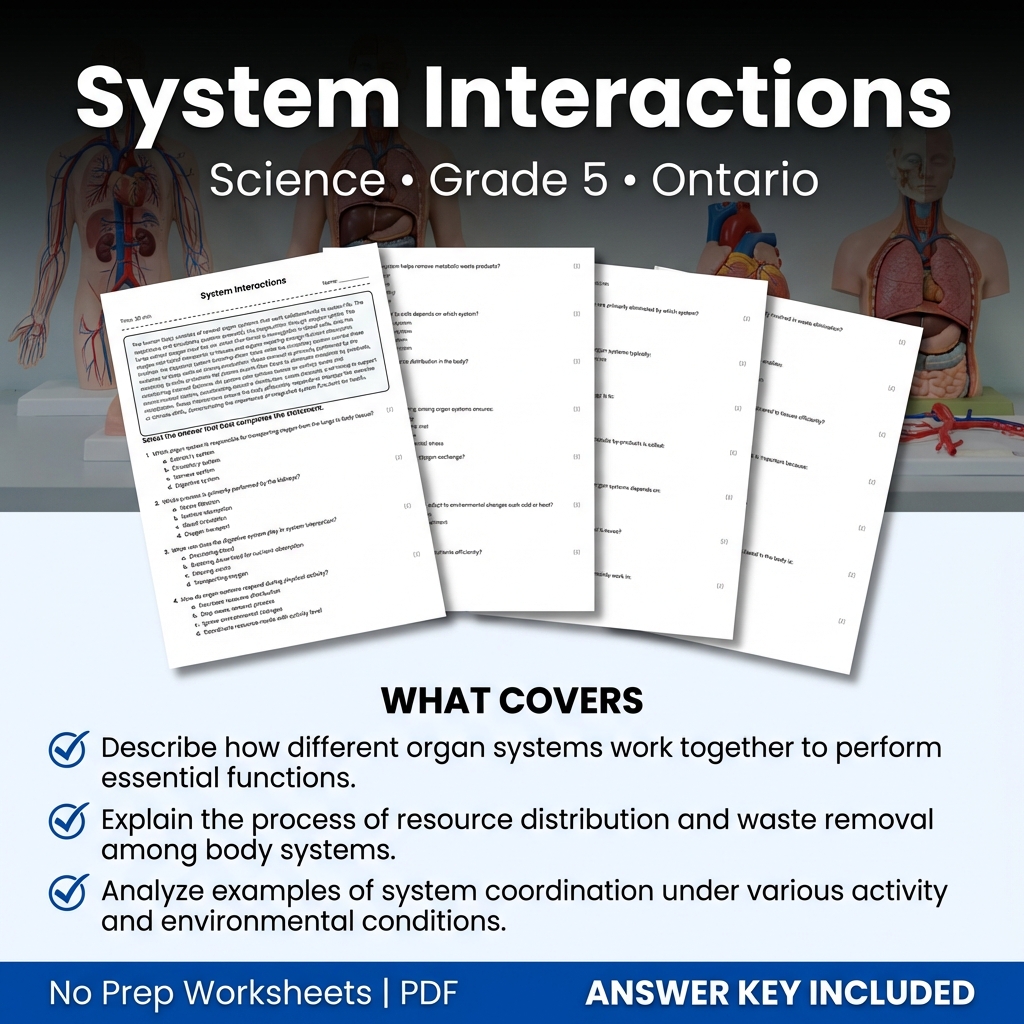 System Interactions Grade 5 Science Worksheet | Ontario Standards