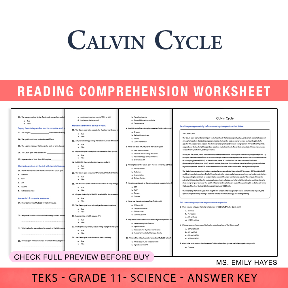 Grade 11 Science worksheet worksheet — Grade 11 Science | Calvin Cycle Worksheet (PDF+ Answer Key) — page 1