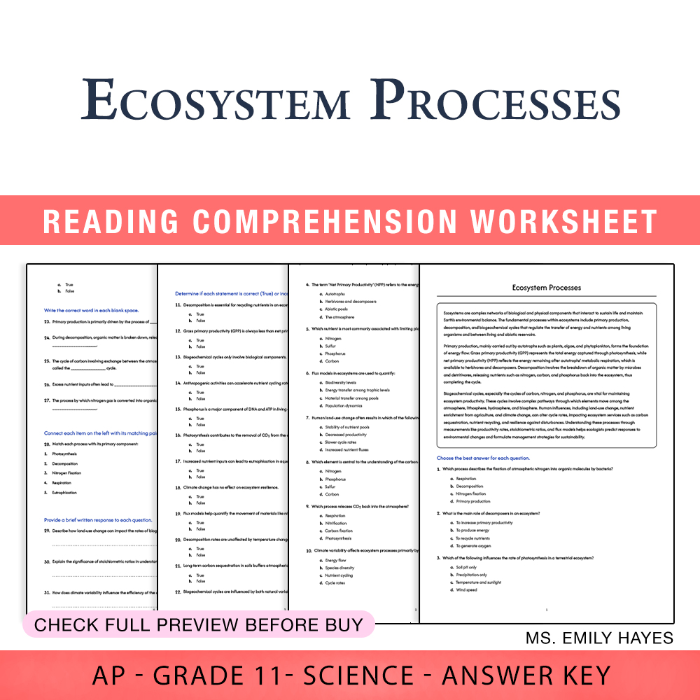 Grade 11 Science worksheet assessment worksheet — 11th Grade Science | Ecosystem Processes Worksheet (PDF+ Answer Key) — p…