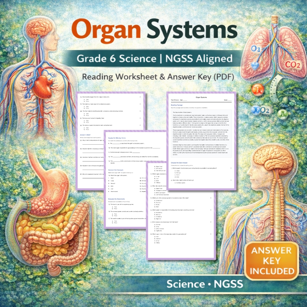 6th Grade Science | Organ Systems | Worksheet & Answer Key | NGSS Standards