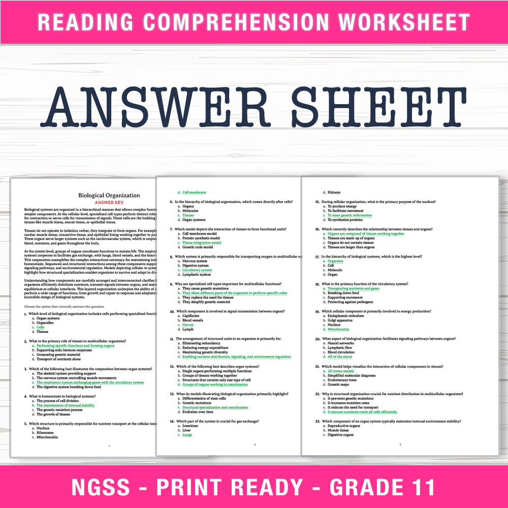 Grade 11 Science worksheet worksheet — Grade 11 Science | Biological Organization Worksheet (PDF + Answer Key) — page 2