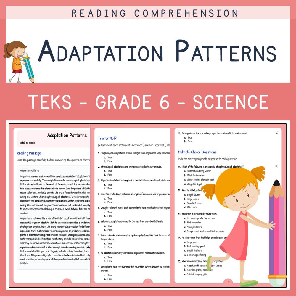 Grade 6 Science worksheet elena worksheet — Grade 6 Science | Adaptation Patterns Worksheet | TEKS Standards — page 1