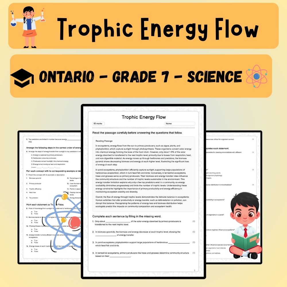 Grade 7 Science worksheet worksheet — Grade 7 Science | Trophic Energy Flow Worksheet – Understanding Ecosystems (PDF ) —…