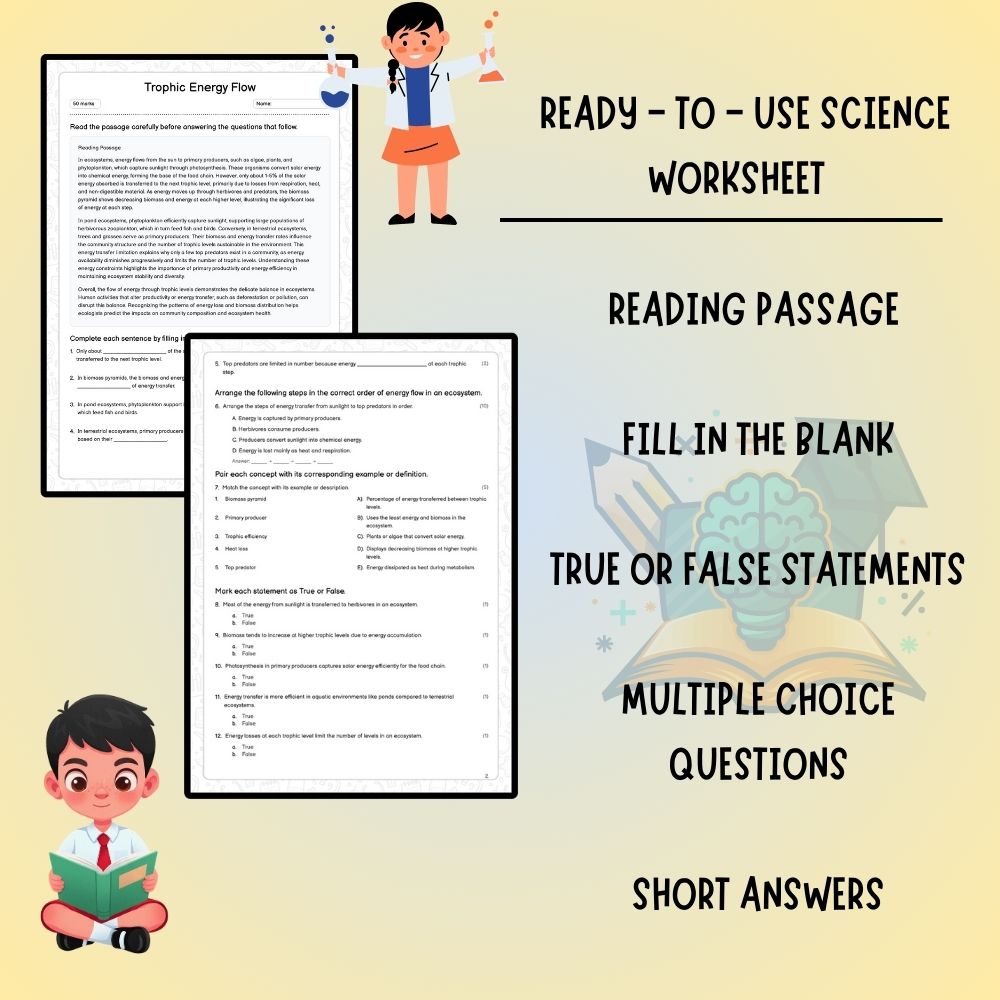 Grade 7 Science worksheet worksheet — Grade 7 Science | Trophic Energy Flow Worksheet – Understanding Ecosystems (PDF ) —…