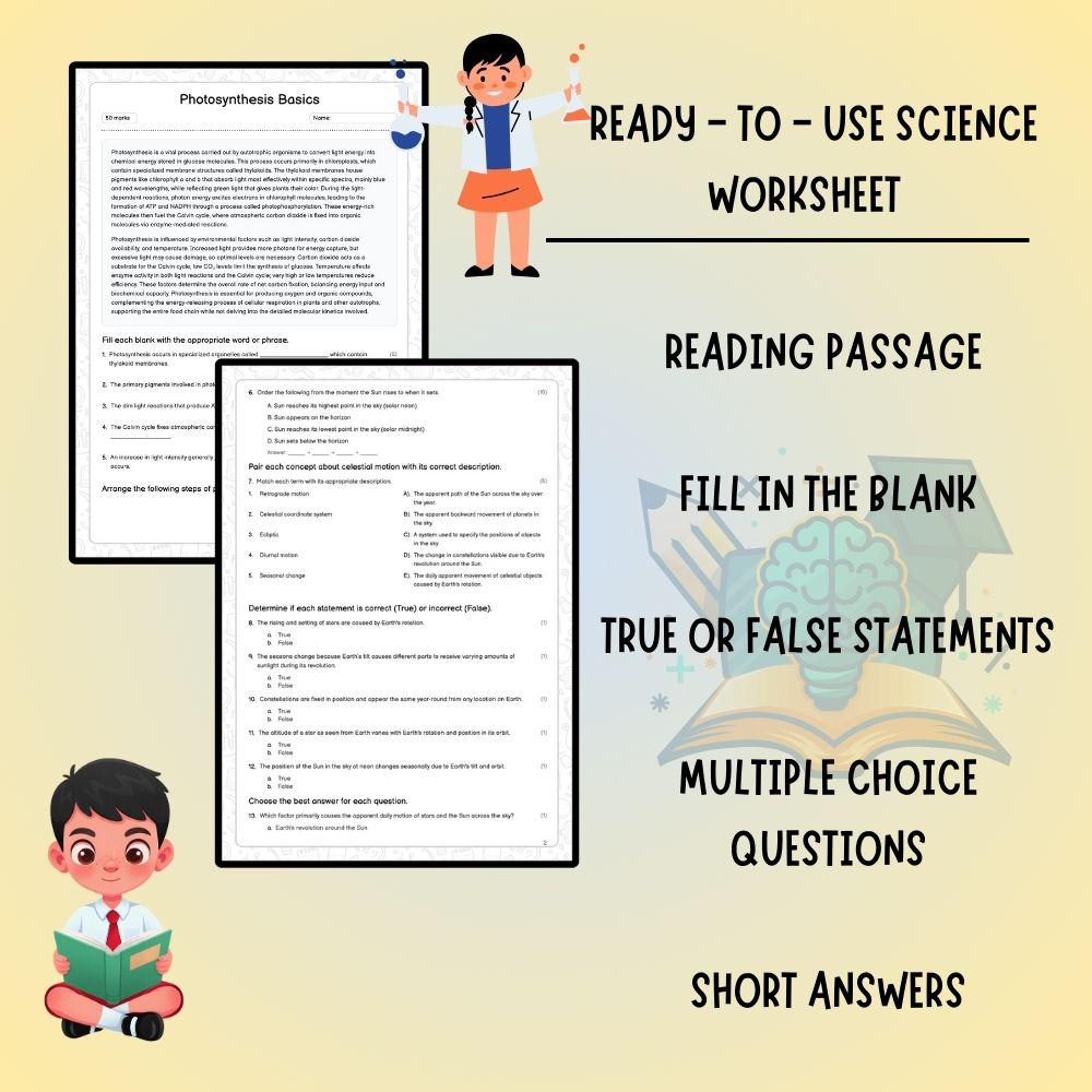 Grade 10 Science worksheet worksheet — Grade 10 Science | Photosynthesis Basics Worksheet (PDF) for Ontario Standards — pa…