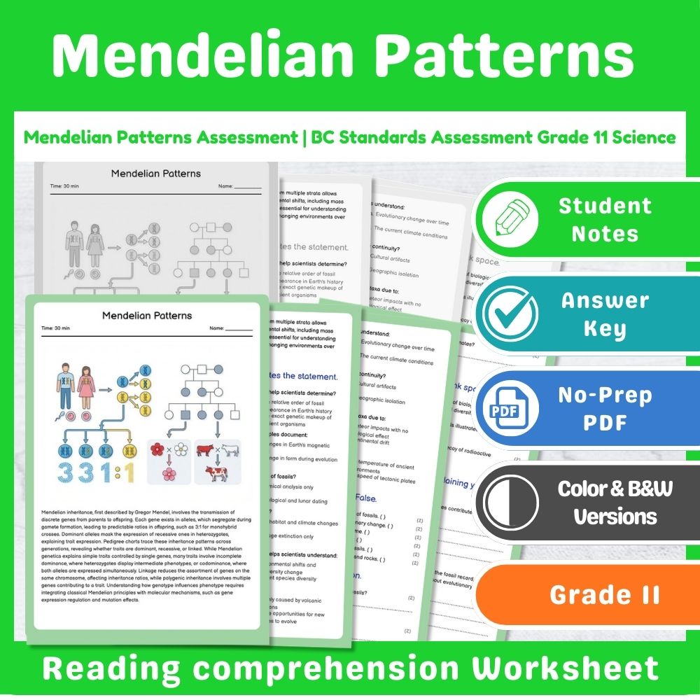 Grade 11 Science Lesson Assessment Bundle | Photosynthesis & Genetics — included worksheet 14