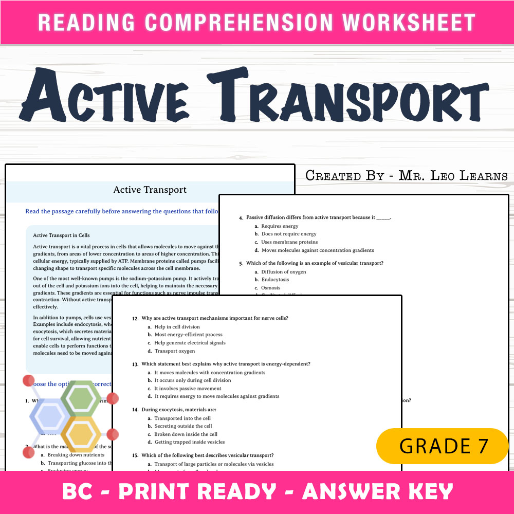 Grade 7 Science worksheet mcq paper worksheet — Grade 7 Science — Active Transport Worksheet MCQ Paper — page 1