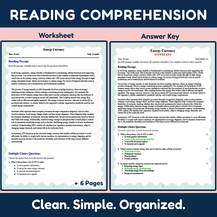 Grade 10 Science reading worksheets worksheet — 10th Grade Science | Energy Currency Reading Worksheet (PDF Answer Key & R…