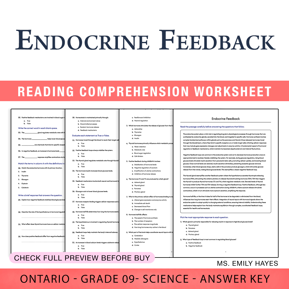 Grade 9 Science worksheet worksheet — 9th Grade Science | Endocrine Feedback Worksheet (PDF + Answer Key) — page 1