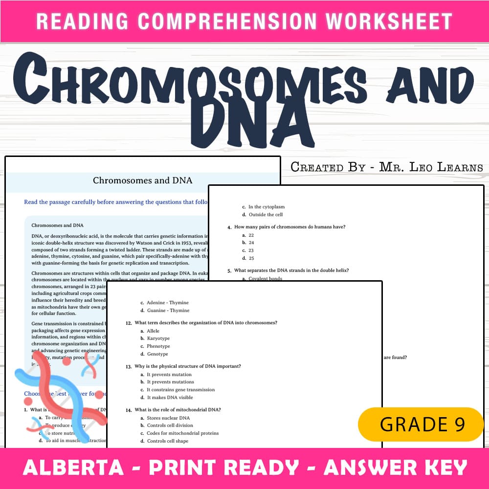 Grade 9 Science worksheet mcq paper worksheet — Grade 9 Science — Worksheet MCQ Paper for Mastering Chromosomes and DNA —…
