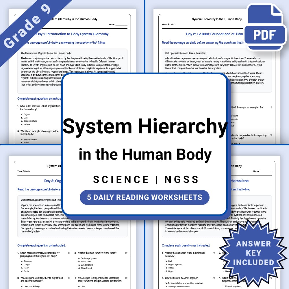 Grade 9 Science daily reading worksheet worksheet — Grade 9 Science – Human Body System Hierarchy Worksheet(PDF + Answer K…