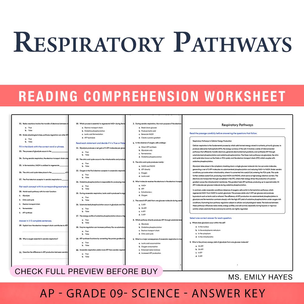 Grade 9 Science worksheet worksheet — Grade 9 Science | Respiratory Pathways Worksheet (PDF+ Answer Key) — page 1