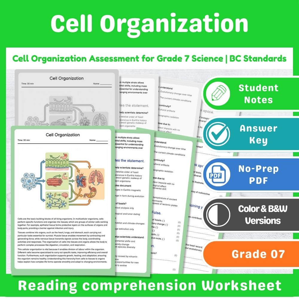 Grade 7 Science | Cell Functions & Organization Assessment – Standards-Aligned — included worksheet 13