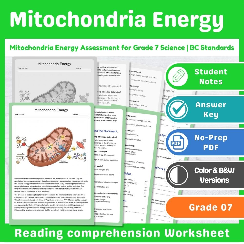 Grade 7 Science | Cell Functions & Organization Assessment – Standards-Aligned — included worksheet 14