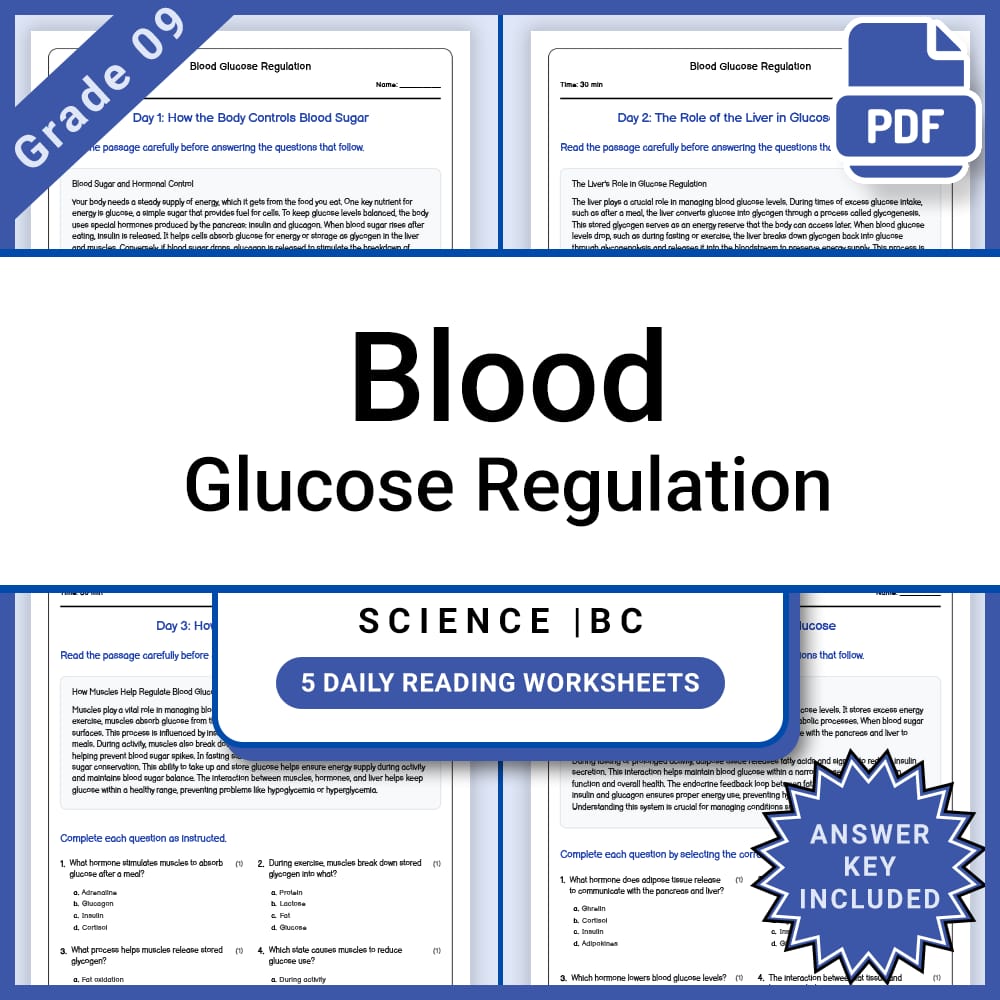 Grade 9 Science Full Year Bundle | Tidal Forces, Energy, and Physics — included worksheet 58