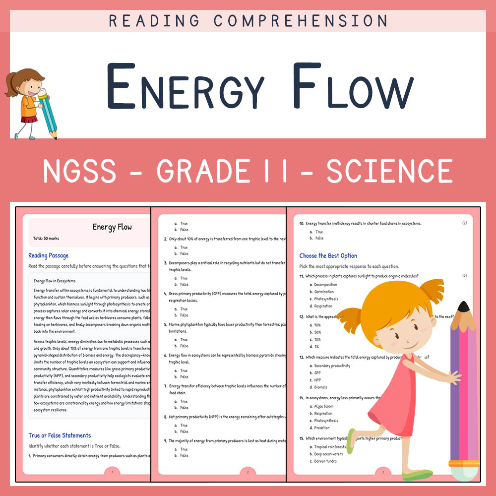 Grade 11 Science worksheet worksheet — Grade 11 Science | Energy Flow Worksheet (NGSS-Aligned) with Answer Key — page 1