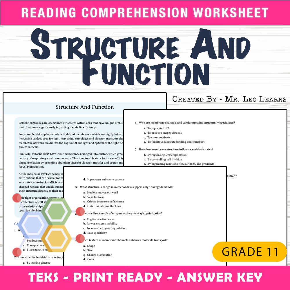 Grade 11 Science worksheet worksheet — Grade 11 Science – Structure and Function Worksheet for Mastery — page 1