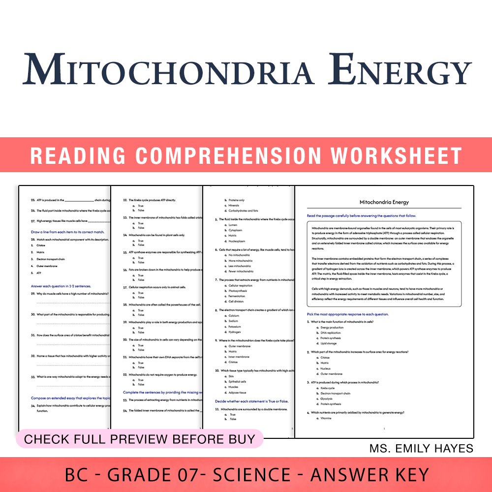 Grade 7 Science worksheet worksheet — Grade 7 Science | Mitochondria Energy Worksheet (PDF + Answer Key) — page 1