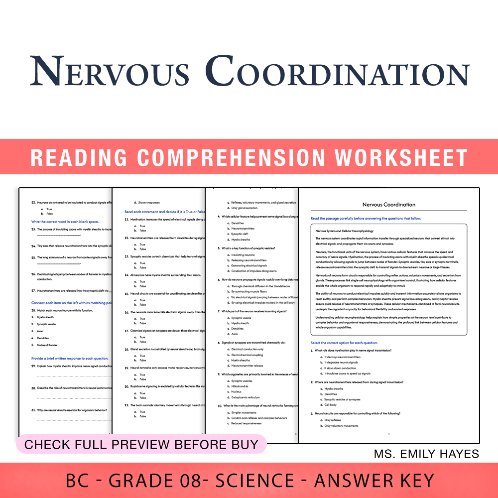 Grade 8 Science worksheet worksheet — 8th Grade Science | Nervous Coordination Worksheet (PDF+ Answer Key) — page 1