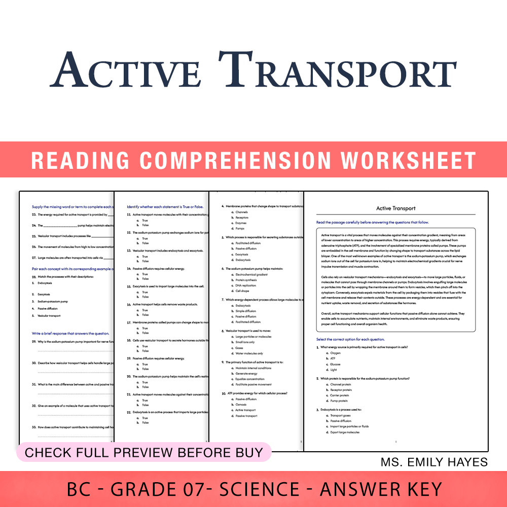 Grade 7 Science worksheet worksheet — 7th Grade Science | Active Transport Worksheet (PDF+ Answer Key) — page 1