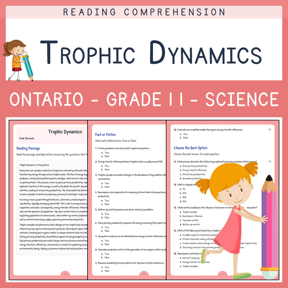 Grade 11 Science worksheet elena worksheet — Grade 11 Science Assessment | Trophic Dynamics Worksheet Elena | Ontario — pa…