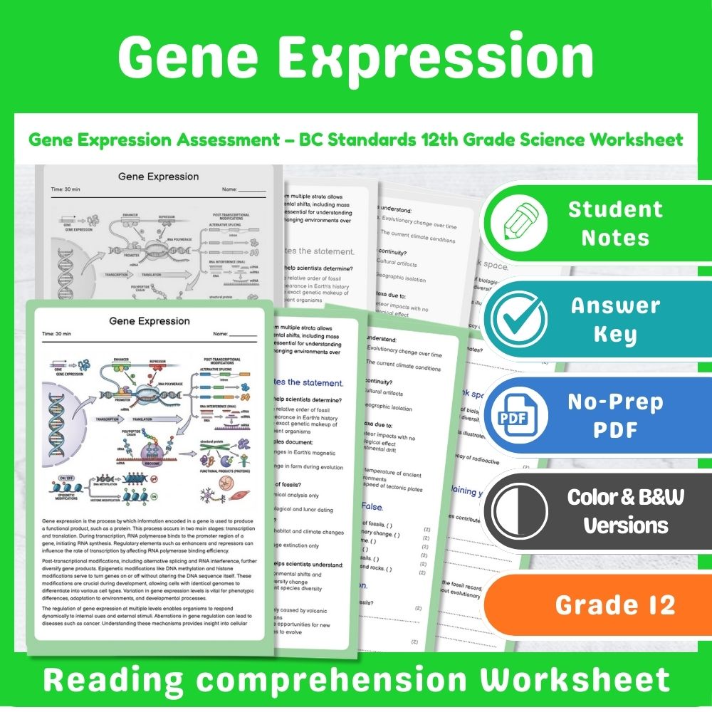 Grade 12 Science Mini Bundle – Genetics & Evolution Assessment Pack — included worksheet 14